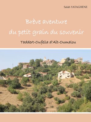 cover image of Brève aventure du petit grain du souvenir